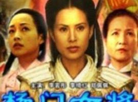 [2004][中国][杨门女将3_女将出征_杨门女将之女将出征][国语无字][3.50GB][百度网盘]