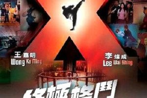 [2004][香港][终极格斗][国语中文字幕][MP4][2.46GB][百度盘]