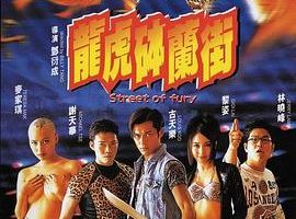 [1996][香港][龙虎砵兰街][国粤双语中字][MKV][1.17GB][百度网盘]