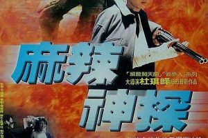 [1995][香港][无味神探][国语中字][MP4][2.21GB][百度网盘]