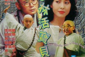 [1994][香港][少林活宝贝][国语中字][MKV][2.23GB][百度网盘]