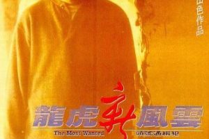 [1994][香港][龙虎新风云][国语中字][MKV][2.03GB][百度网盘]