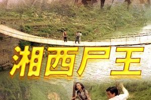 [1993][香港][湘西尸王][国粤中字][482MB][百度网盘]