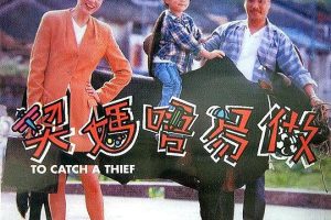 [1991][香港][契妈唔易做][国语粤语中字][MKV][1.04GB][百度网盘]
