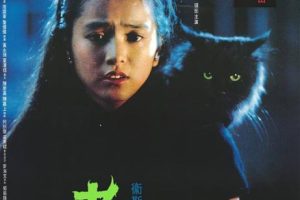 [1991][香港][老猫][国语无字][MKV][2.50GB][百度网盘]