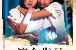 [1988][香港][流金岁月_LastRomance][国粤双语中字][MKV][1.45GB][百度网盘]