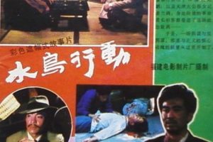 [1986][中国][水鸟行动][国语中字][MKV][1.18GB][百度网盘]