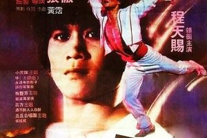 [1984][香港][霹雳情][国语中字][MKV][1.94GB][百度网盘]