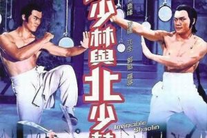 [1978][香港][南少林与北少林][国语中字][AVI][696MB][百度盘]