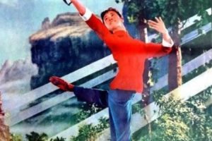 [1974][中国][沂蒙颂][国语无字][VOB][999MB][百度网盘]