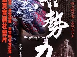 [2008][香港][再见古惑仔_黑势力_学校黑势力][国粤双语中字][RMVB][364MB][百度网盘]