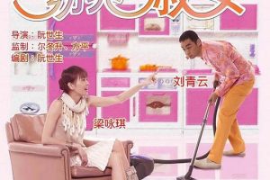 [2004][香港][绝世好宾_絕世好賓_Driving Miss Wealthy][国语中字][MKV][3.30GB][百度网盘]