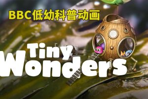 [英语动画]《Tiny Wonders小奇迹》[英文字幕][全二季共20集][892M][百度网盘]