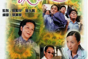 [2000][TVB][ 中国香港]《Loving You 我爱你1》[9.85GB][百度云]