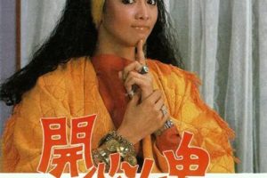 [1985][香港]《开心女鬼》[郑裕玲 / 吕良伟][国粤中字][20集][2.43GB][百度网盘]