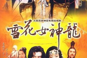 [2002][香港]《雪花女神龙》[董璇 / 任天野][国粤中字][45集][25.07GB][百度网盘]