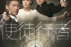 [2014][香港]《使徒行者》[苗侨伟 / 佘诗曼][国粤中字][30集][109.11GB][百度网盘]