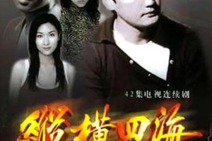 [1992][香港]《纵横四海》[陶大宇 / 杨恭如][国粤中字][42集][28.89GB][百度网盘]