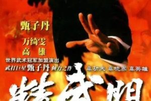 [1995][香港]《精武门》[甄子丹 / 万绮雯][国粤中字][30集][38.56GB][百度网盘]