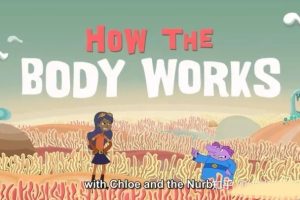 动画片《你的身体是如何工作的 How your body work》[儿童教育][英文版18集][367.33MB][百度网盘]
