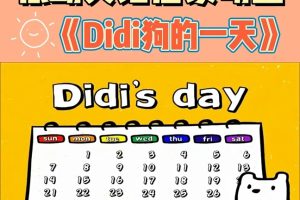 动画片《DiDi dayDIDI狗的一天》[儿童教育][英文版31集][869.68MB][百度网盘]