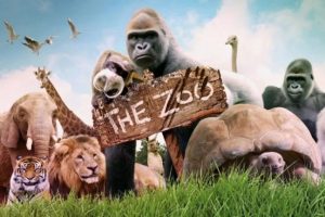 动画片《The Zoo 欢乐动物园》[儿童教育][英文版30集第一季][8.34GB][百度网盘]