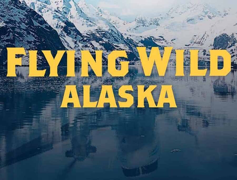 纪录片《飞越狂野阿拉斯加 Flying Wild Alaska》[1080P/MKV][第1-3季全31集 英语中英双字纪录片 官方纯净版][81.7G][百度网盘]