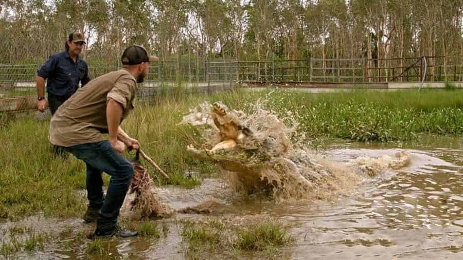 纪录片《野鳄之境 Wild Croc Territory 2022》[1080P/MKV][第1季全10集 英语多国中字 官方纯净版][14.8G][百度网盘]