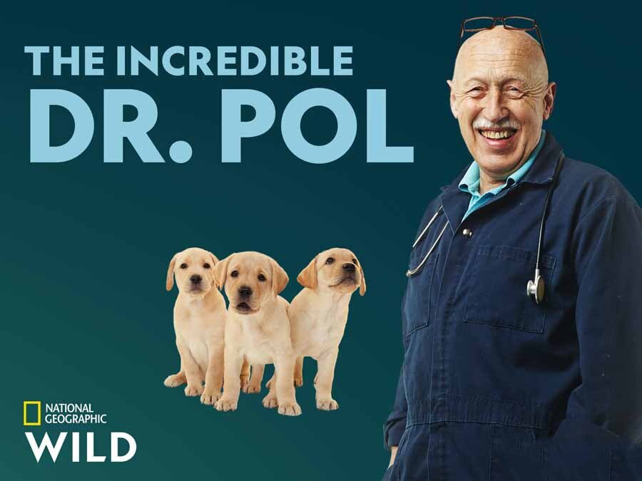 纪录片《动物神医 The Incredible Dr.Pol 2022》[1080/MKV][第5季全10集 英语多国中字 官方纯净版][25.9G][百度网盘]