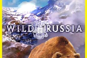 英文动画《野性俄罗斯 Wild Russia》[儿童教育][全6集/英语版][3.2GB][百度网盘]