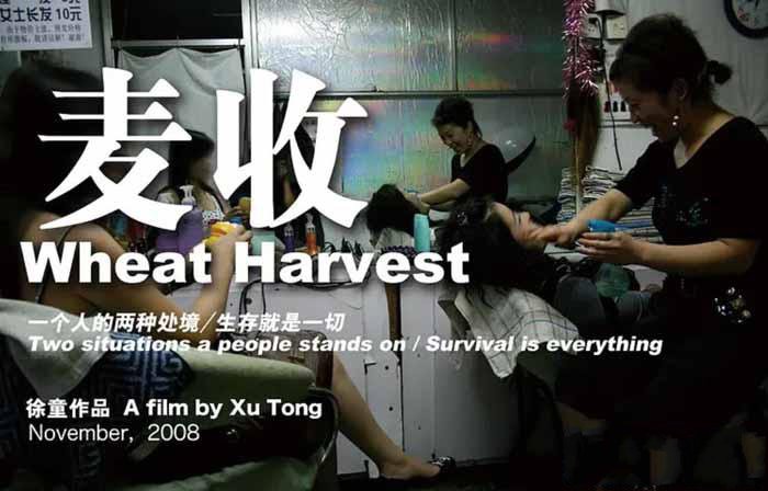 纪录片《麦收 Wheat Harvest》[标清][全1集][1.47G][百度网盘]