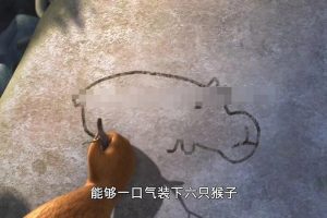 英文动画《丛林之书/奇幻森林 The Jungle Book》[儿童教育][中文版104集/英文版][22.74GB][百度网盘]