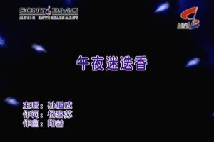 [1996][内地][国语-MV][孙耀威-午夜迷迭香][MPG][203MB][百度网盘]