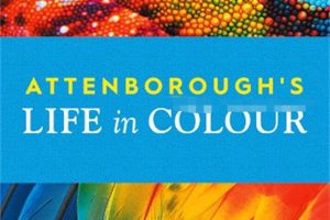 英文动画《多彩生活 Life In Colour》[儿童教育][全3集/英语版][2.34GB][百度网盘]