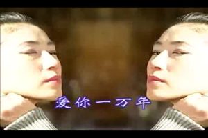 [1999][内地][国语-MV][罗时丰-爱你一万年][MPG][102MB][百度网盘]