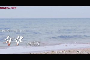 [2010][内地][国语-MV][谢容儿-年华][MPG][165MB][百度网盘]