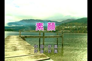 [2010][内地][国语-MV][许嵩&何曼婷-素颜][MPG][175MB][百度网盘]