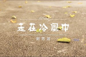 [2012][内地][国语-MV][刘思涵-走在冷风中][MPG][170MB][百度网盘]