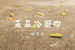 [2013][内地][国语-MV][刘思涵-走在冷风中][MPG][400MB][百度网盘]