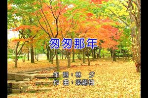 [2014][内地][国语-MV][王菲-匆匆那年][MPG][198MB][百度网盘]