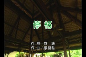 [2015][内地][国语-MV][蔡健雅-停格][MPG][180MB][百度网盘]