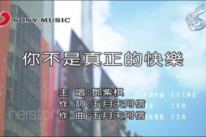 [2015][内地][国语-MV][邓紫棋-你不是真正的快乐][MPG][171MB][百度网盘]