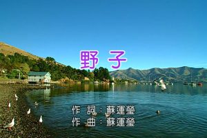 [2015][内地][国语-MV][苏运莹-野子][MPG][212MB][百度网盘]