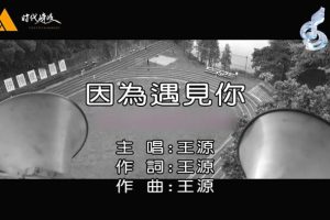 [2016][内地][国语-MV][王源-因为遇见你][MPG][142MB][百度网盘]
