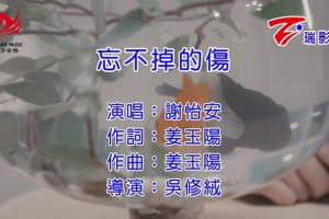 [2016][内地][国语-MV][谢怡安-忘不掉的伤][MPG][116MB][百度网盘]