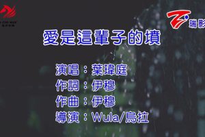 [2016][内地][国语-MV][叶玮庭-爱是这辈子的坟][MPG][151MB][百度网盘]