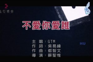 [2017][内地][国语-MV][GTM-不爱你爱谁][MPG][195MB][百度网盘]