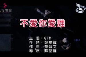 [2017][内地][国语-MV][GTM-不爱你爱谁][MPG][460MB][百度网盘]