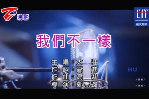 [2017][内地][国语-MV][大壮-我们不一样][MPG][221MB][百度网盘]