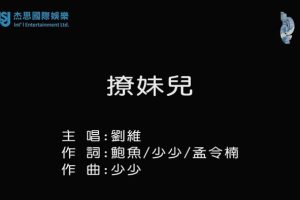 [2017][内地][国语-MV][刘维-撩妹儿][MPG][101MB][百度网盘]